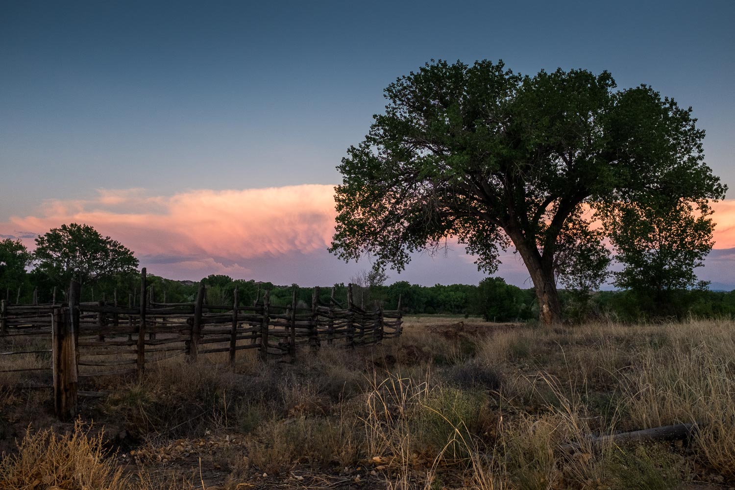 Atlanta Travel Photographer : New Mexico